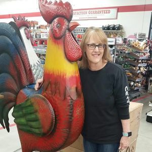 Meet your Posher, Shelly